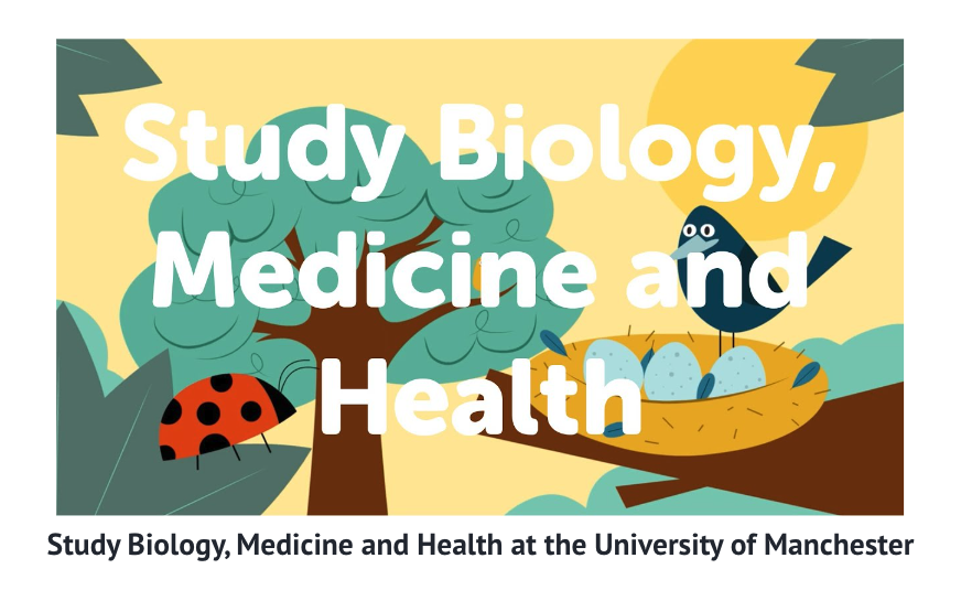 Video slide on Mentimeter. The video is from FBMH's YouTube channel. The  caption below the video thumbnail says 'Study Biology, Medicine and Health at the University of Manchester'.