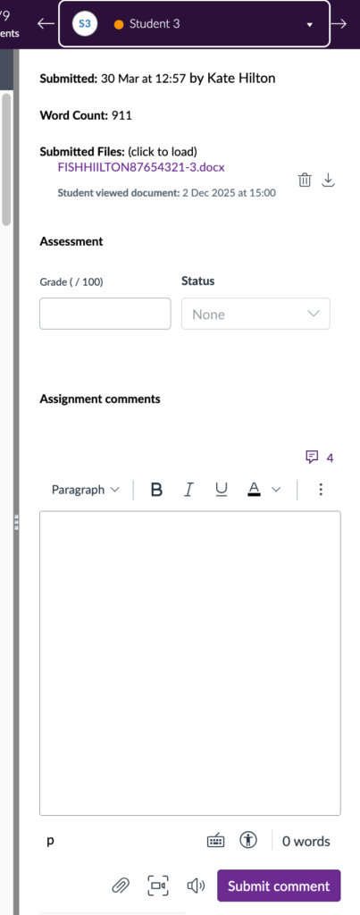 Screenshot of assignments comment panel